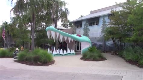 Gatorland / Shows / Animal Exhibits / Rides - YouTube