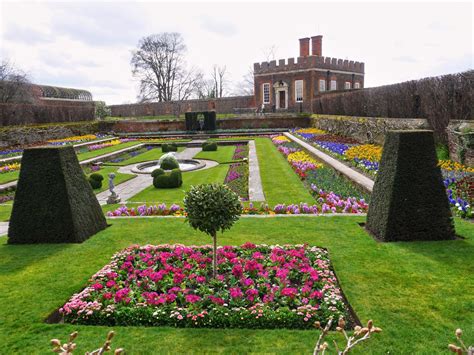 Thames Nature Notes: Spring blooms in Hampton Court Palace gardens