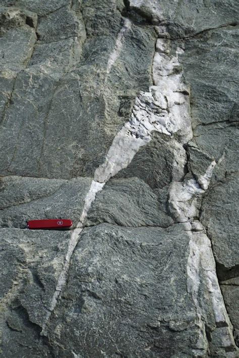 Quartz veins in quartzite (vertical) – Geology Pics