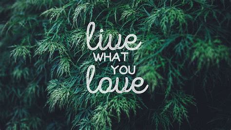 HD wallpaper: live what you love sign, quote, typography, text, plant ...