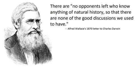 Gnu Atheism: Alfred Wallace to Charles Darwin