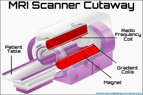 MRI Design and Operation | Oncology Medical Physics