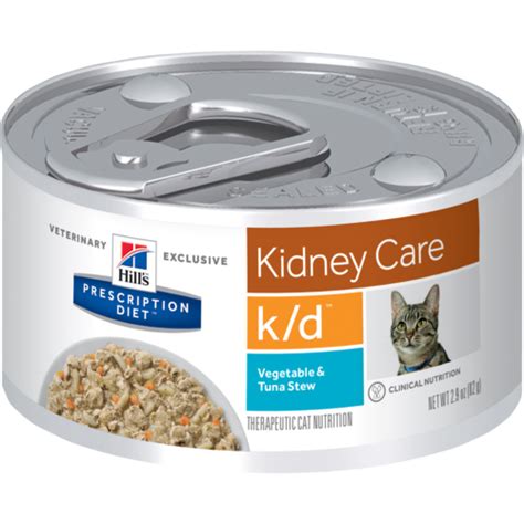 Kidney Disease – Healthy Cat Guide