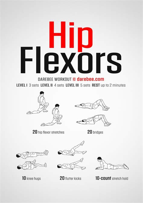 Hip Flexors Workout in 2022 | Hip flexor, Hip exercises for men, Hip ...