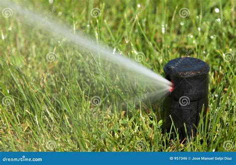 Sprinkler watering stock photo. Image of produce, field - 957346