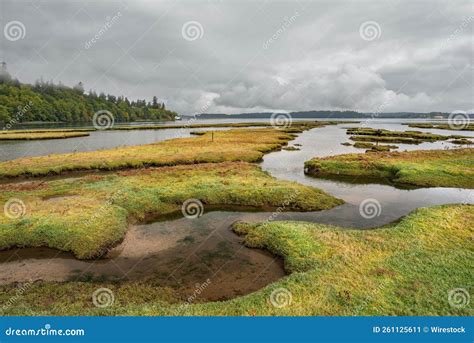 Low Tide at Nisqually National Wildlife Refuge in Olympia, Washington ...