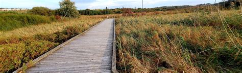 Orangeville Wetlands: 65 Reviews, Map - Ontario, Canada | AllTrails