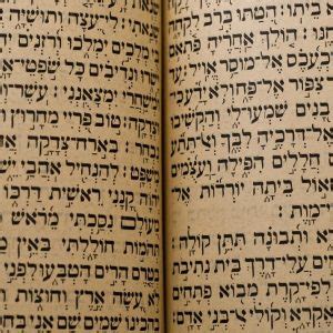 COGMERs | The Hebrew Language - The DNA OF CREATION?