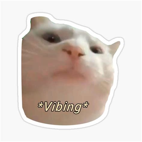 Vibing Cat Meme Gif Transparent