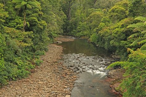 Waipoua River, Waipoua Forest Sanctuary, Kaipara District,… | Flickr