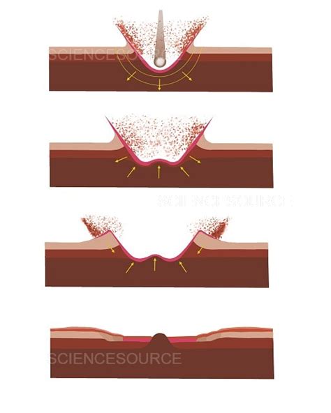 Photograph | Impact Crater Formation | Science Source Images