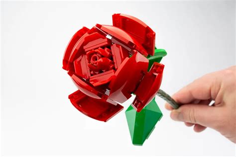 LEGO Iconic 40460 Roses review, photos and gallery