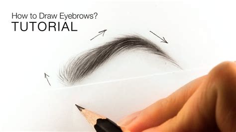 How to draw realistic eyebrows for BEGINNERS - EASY TUTORIAL - YouTube