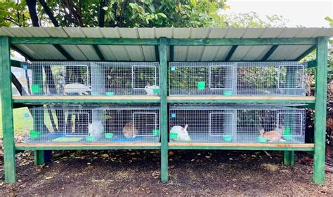 Building My Rabbit Hutch with KW Cages — Teal Stone Homestead