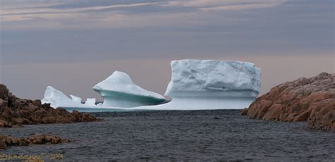 1. Submitted by Wade James, Barr'd Islands, Newfoundland