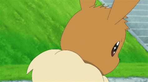 Eevee GIF - Eevee - Discover & Share GIFs