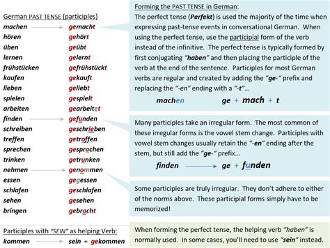 German A1 Level 1 - Vocabulary Review and Grammar Notes | Teaching Resources