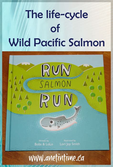 Run Salmon Run - A Net in Time