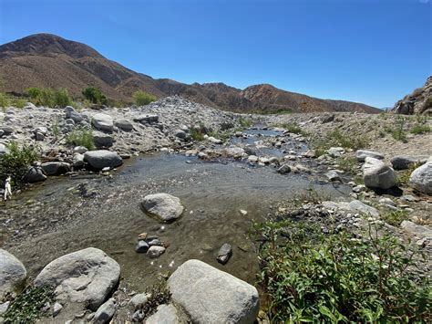 Exploring Whitewater Canyon in Palm Springs — MiLOWE