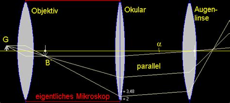 Mikroskop | LEIFIphysik