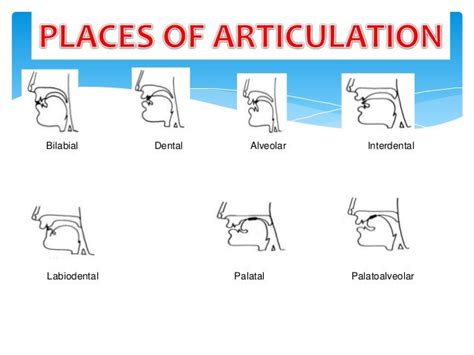 Places of articulation