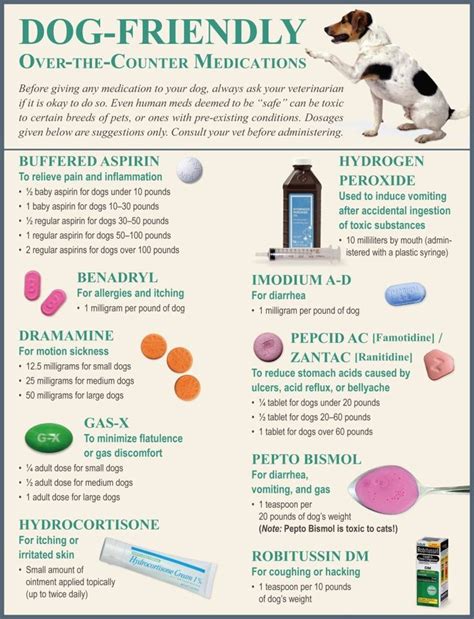 What Can I Give My Dog For Pain and What To Avoid? | Meds for dogs, Dog ...