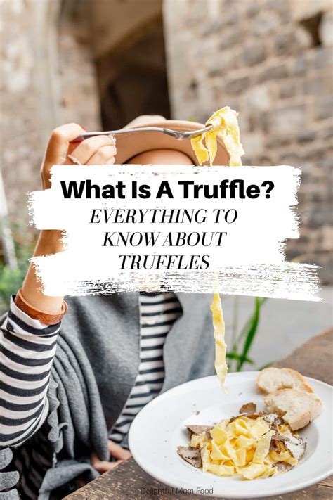 Truffles: What is a Truffle & Everything About Them! - Delightful Mom Food