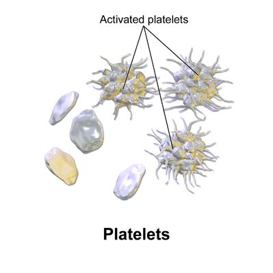 Platelets Drawing