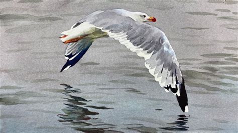 Watercolor of a seagull with reflection - YouTube | Watercolor painting techniques, Watercolor ...