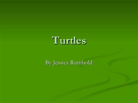 Turtle Powerpoint! | Turtle, Powerpoint, The unit