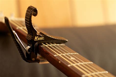 Free Images : musical instrument, bass guitar, plucked string instruments, string instrument ...