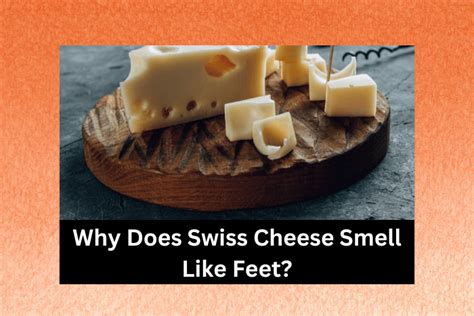 Why Does Swiss Cheese Smell Like Feet? (Revealed!) - Cheese Lover Heaven