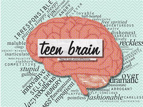 Insights from “The Teenage Brain: A Neuroscientist’s Survival Guide to Raising Adolescents and ...