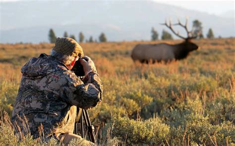 Wyoming Wildlife Calendar Photo Contest Opens May 4 - Sporting Classics ...