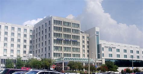 Morton Plant Hospital Clearwater Fl - Plant Ideas