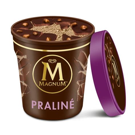 Magnum Tub Chocolate & Hazelnut Praline Ice Cream 440ml from Ocado