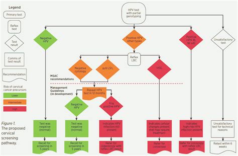 Cervical Screening Pathway Flowchart