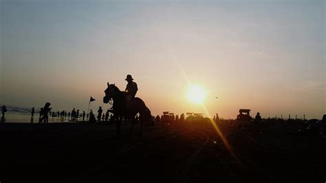 Free stock photo of horse, horse rider, sunset