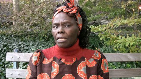 Wangari Maathai: 16 Days of Activism - YouTube