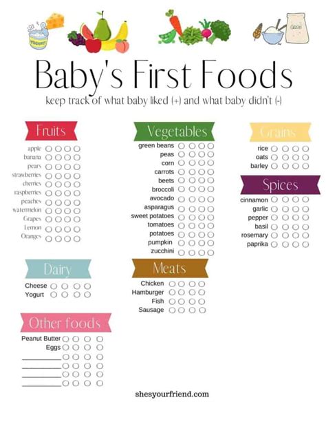 Introducing Baby Food: A complete Guide - She's Your Friend