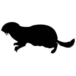 Otter Silhouette Car Decals & Stickers | Otter Bumper Stickers