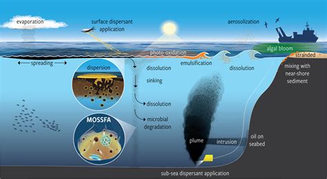 A Decade of GoMRI Dispersant Science: Lessons Learned and ...