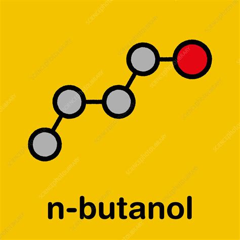 n-butanol molecule, illustration - Stock Image - F027/8924 - Science Photo Library