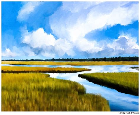 Cape Cod Salt Marsh Landscape Art - Mark Tisdale - MarkOnArt