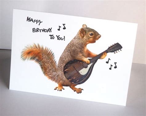 Squirrel Playing Mandolin Birthday Card