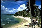 Category:Beaches of Cayo Levantado - Wikimedia Commons