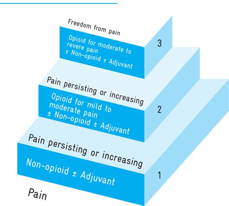 2 THE WHO ANALGESIC LADDER | Download Scientific Diagram