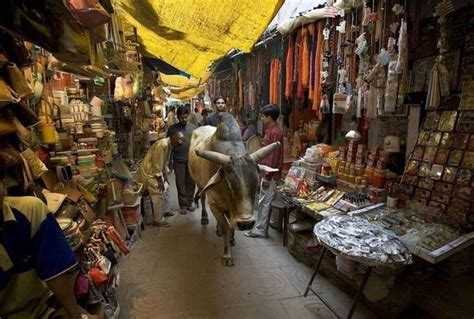 Famous Varanasi Streets Tour: Remnants of The Ancient City - Varanasi Mirror