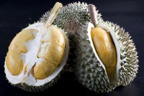 11 Jenis Buah Durian Popular dan Digemari di Malaysia