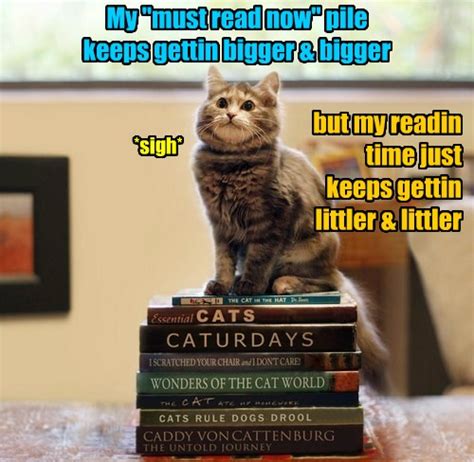 The Book-Collector's Irony - Lolcats - lol | cat memes | funny cats | funny cat pictures with ...